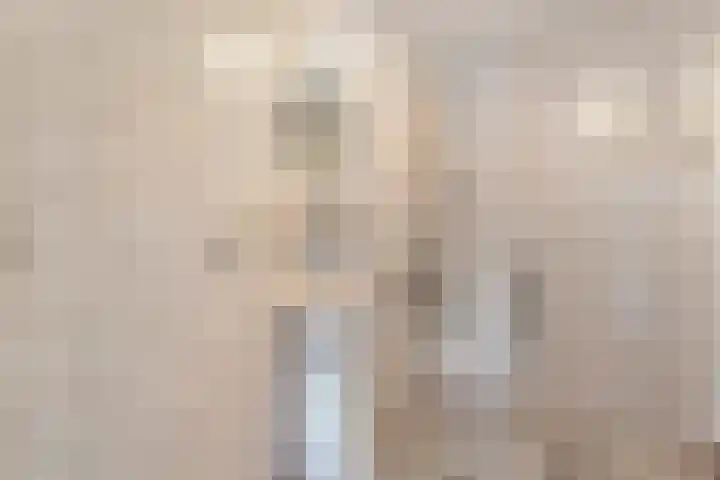 Brem 6 Coevorden thumbnail 18