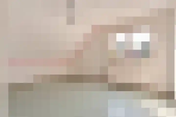 Brem 6 Coevorden thumbnail 26