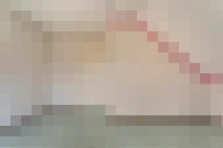 Brem 6 Coevorden thumbnail 27