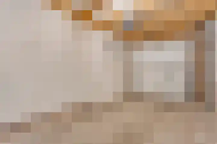 Brem 6 Coevorden thumbnail 28