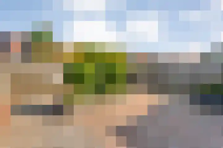 Brem 6 Coevorden thumbnail 32