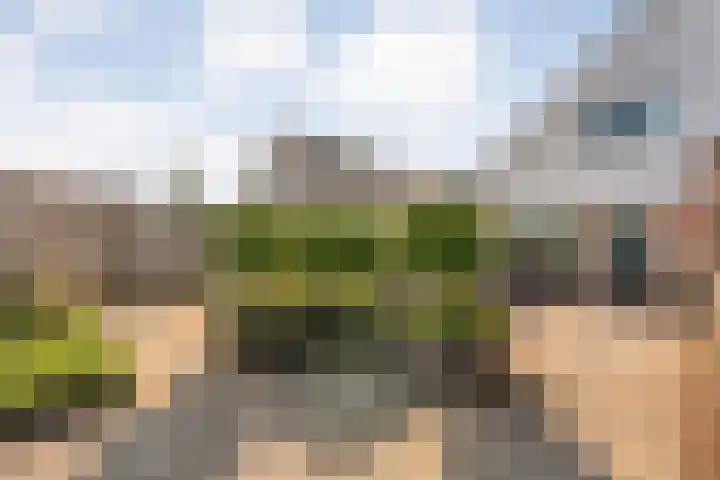 Brem 6 Coevorden thumbnail 33