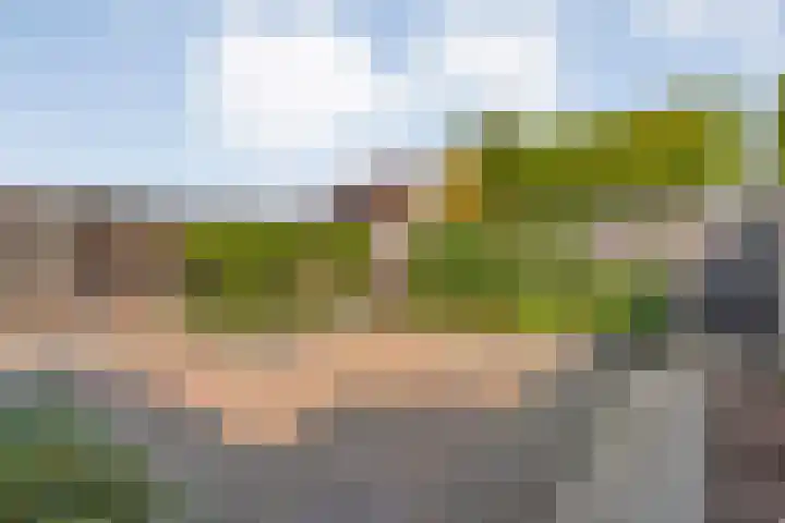 Brem 6 Coevorden thumbnail 36