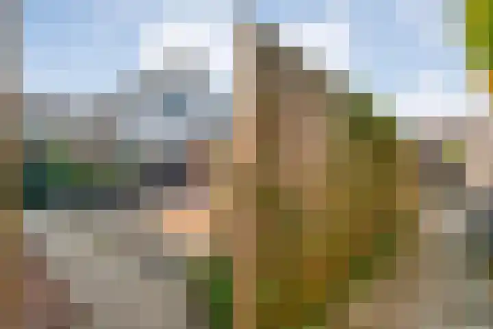 Brem 6 Coevorden thumbnail 37