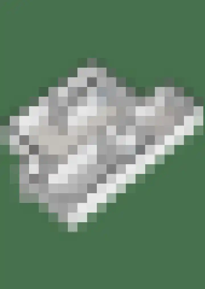 Brem 6 Coevorden thumbnail 39