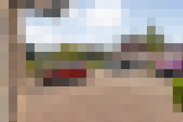 Brem 6 Coevorden thumbnail 5