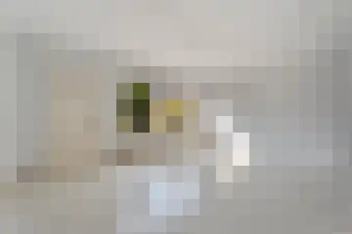 Brem 6 Coevorden thumbnail 8