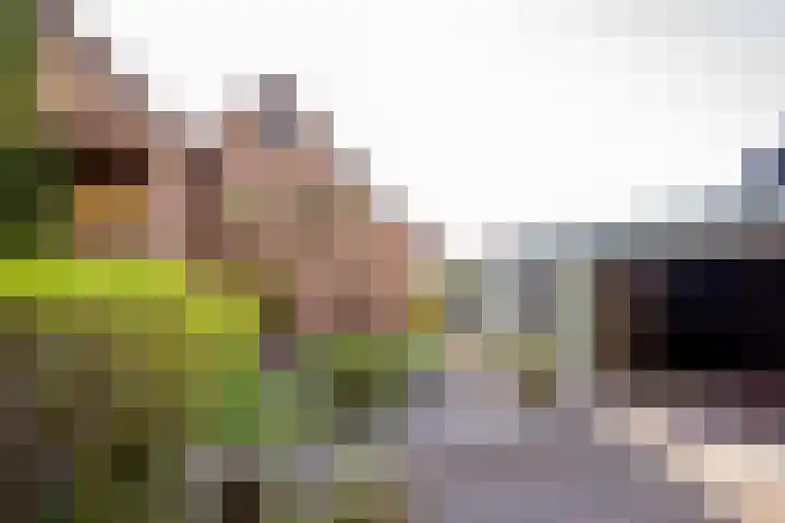 Bremhoek 13 Nunspeet thumbnail 26