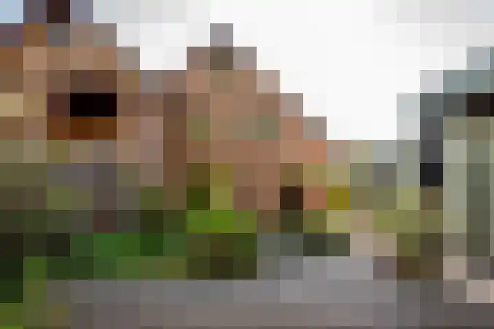 Bremhoek 13 Nunspeet thumbnail 27