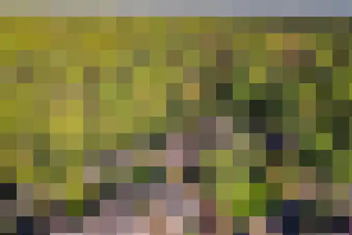 Bremhoek 13 Nunspeet thumbnail 31