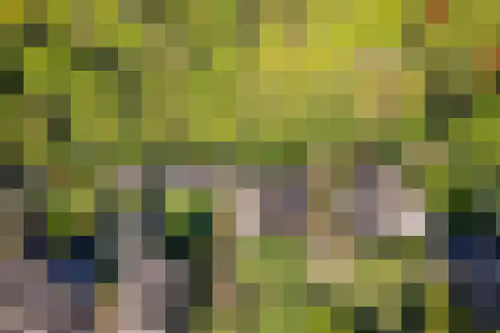 Bremhoek 13 Nunspeet thumbnail 32