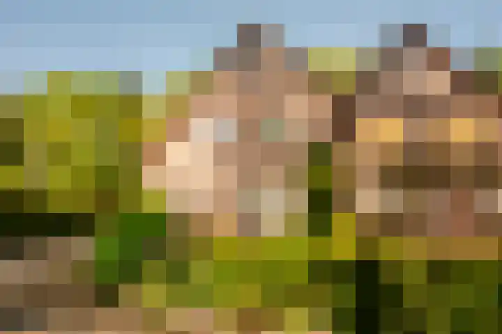 Bremhoek 13 Nunspeet thumbnail 4