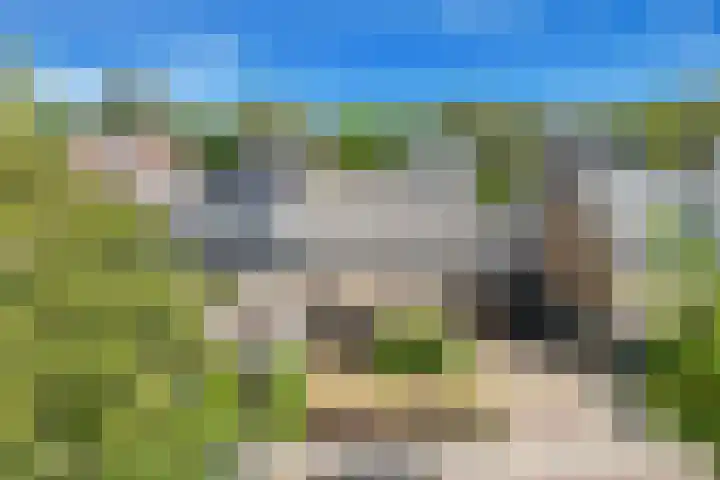 Bremlaan 18 Castricum thumbnail 39
