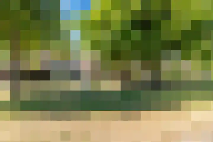 Bremlaan 18 Castricum thumbnail 41