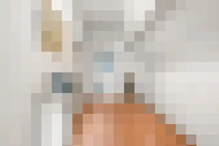 Bremlaan 2 Ede thumbnail 21