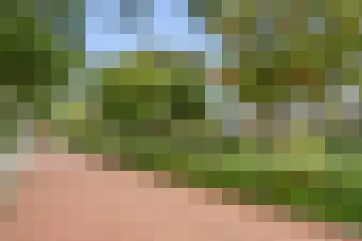 Bremlaan 2 Ede thumbnail 35