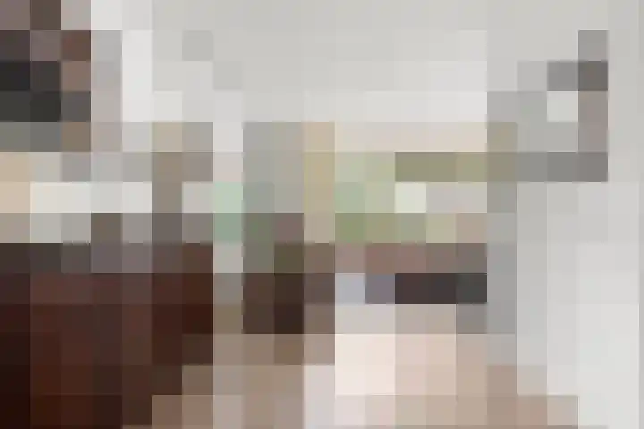Bremlaan 2 Ede thumbnail 6