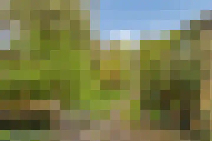 Bremstraat 15 Neede thumbnail 25