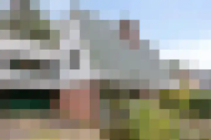 Bremstraat 16 Barchem thumbnail 15