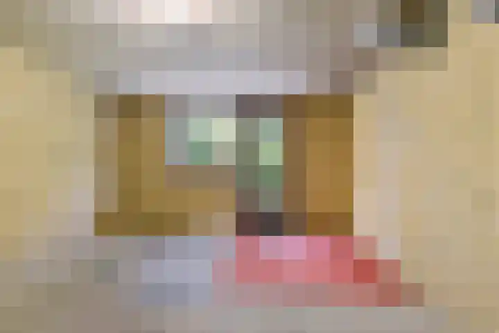 Bremstraat 16 Barchem thumbnail 33