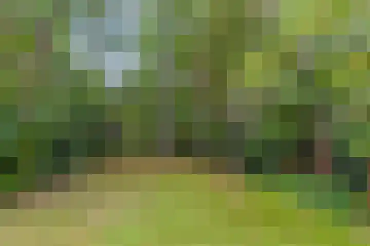 Bremstraat 16 Barchem thumbnail 7