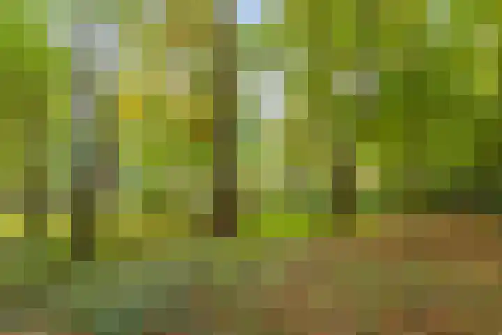 Bremstraat 16 Barchem thumbnail 8