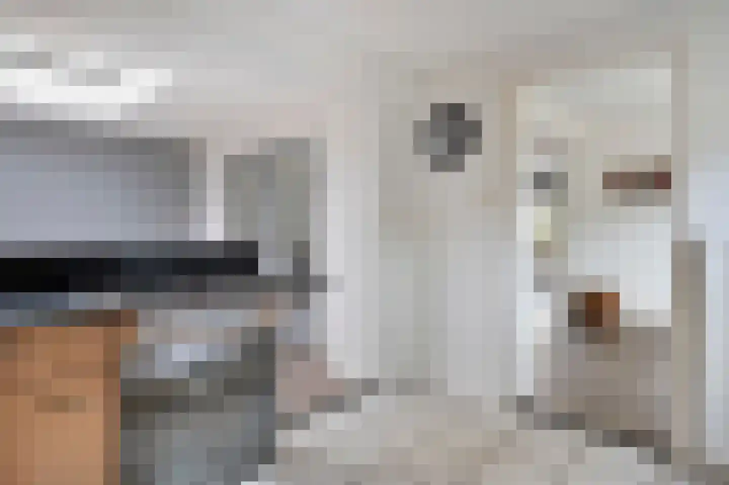 Bremstraat 28 Sittard thumbnail 23