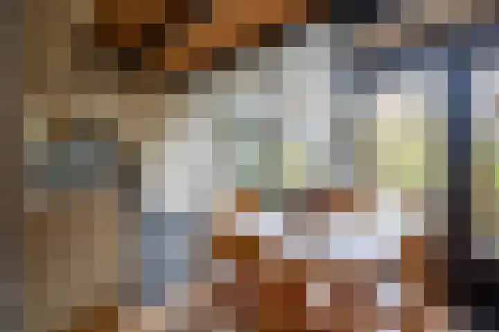 Bremstraat 34 Bovensmilde foto 3