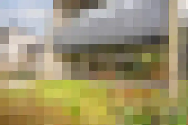 Bremstraat 34 Bovensmilde thumbnail 8