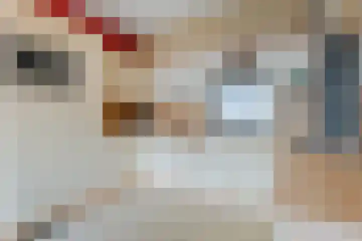Bremstraat 51 Bovensmilde thumbnail 12