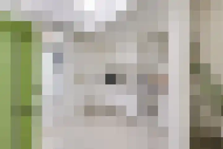 Bremstraat 96 Utrecht thumbnail 14