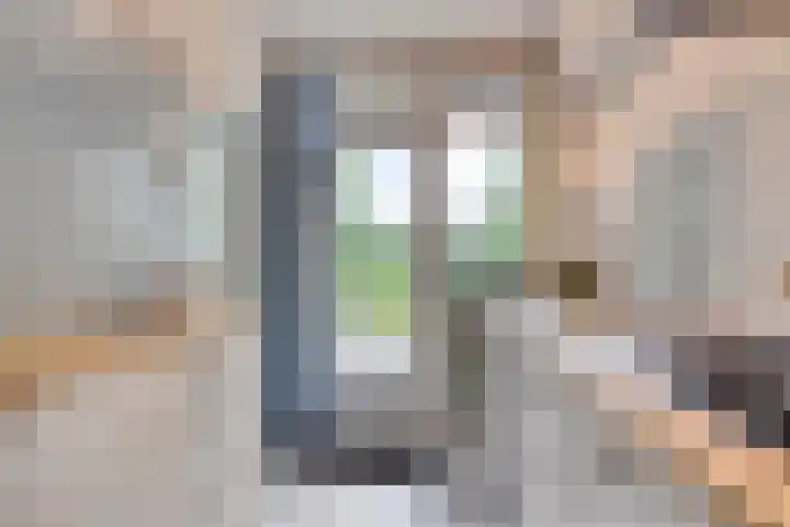 Bremweg 21 Harfsen thumbnail 16