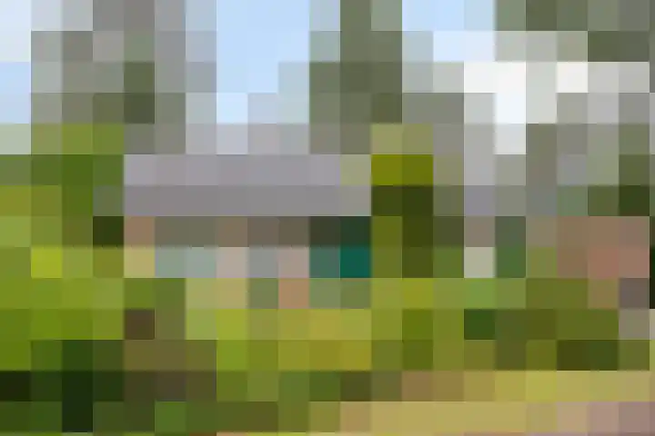 Bremweg 21 Harfsen foto 2