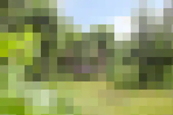 Bremweg 21 Harfsen thumbnail 28