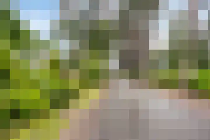Bremweg 21 Harfsen thumbnail 32