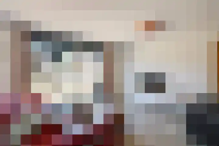 Bretagnesingel 134 Heteren thumbnail 13