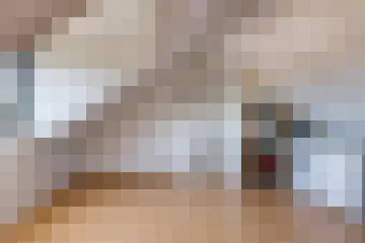 Bretagnesingel 134 Heteren thumbnail 45