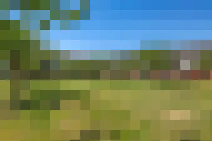 Bretagnesingel 134 Heteren thumbnail 65