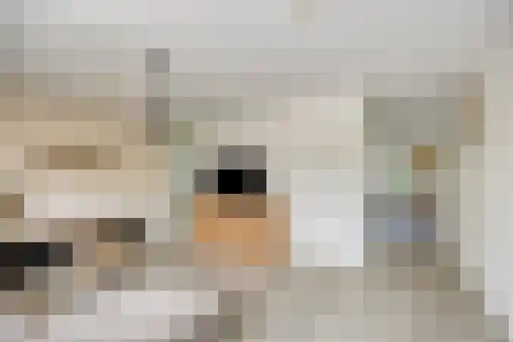 Bretagnesingel 14 Heteren thumbnail 12
