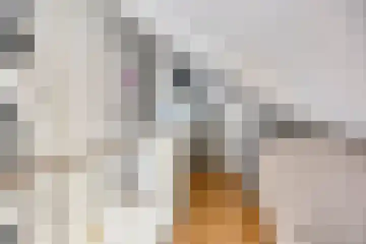 Bretagnesingel 14 Heteren thumbnail 25