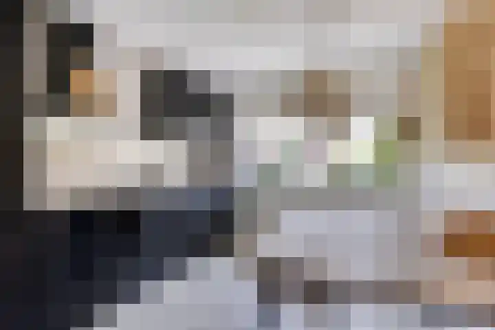 Bretagnesingel 14 Heteren thumbnail 4
