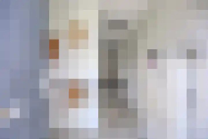 Bretagnesingel 14 Heteren thumbnail 7
