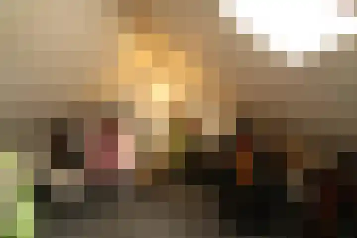 Bretagnesingel 142 Heteren thumbnail 19