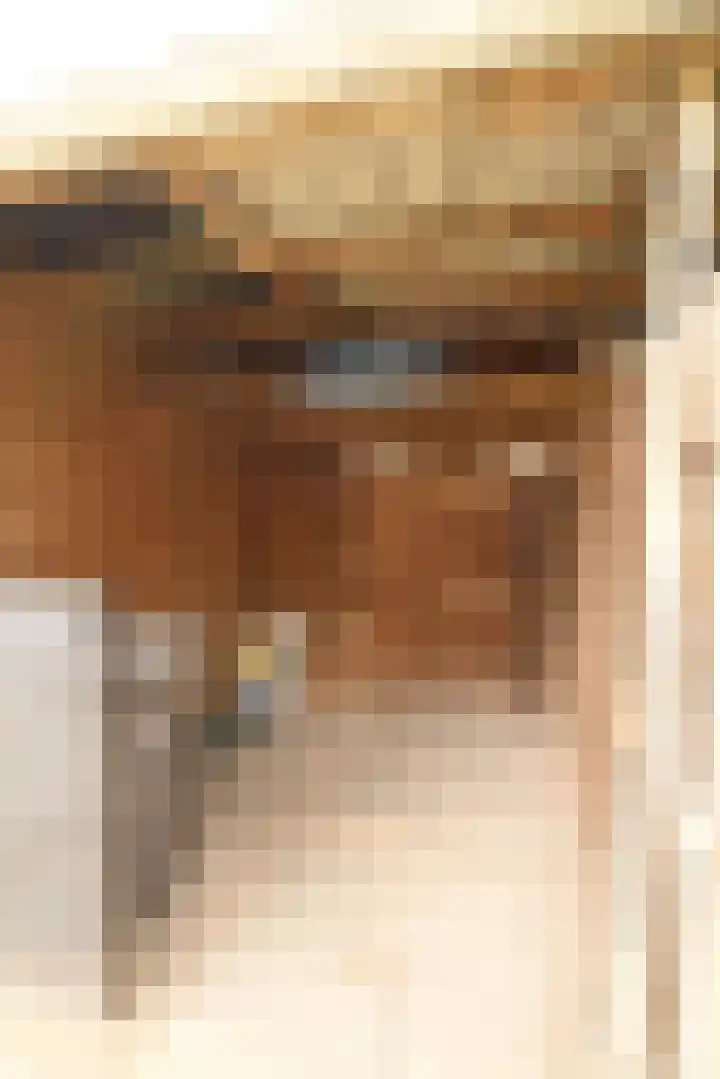 Bretagnesingel 142 Heteren thumbnail 21