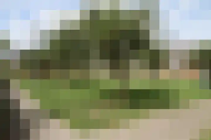 Bretagnesingel 142 Heteren thumbnail 23