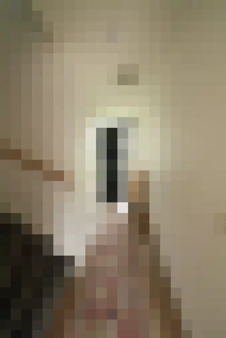 Bretagnesingel 142 Heteren thumbnail 7