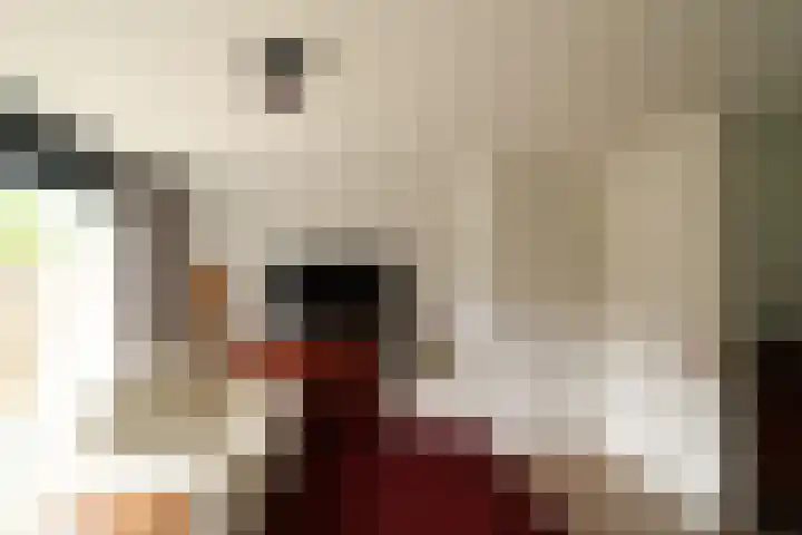Bretagnesingel 142 Heteren thumbnail 9