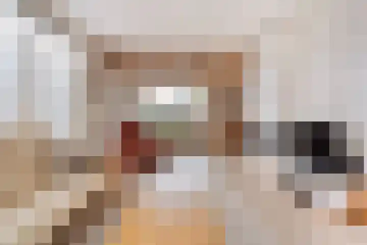 Brethouwerstraat 23 Dalfsen thumbnail 18