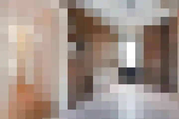 Brethouwerstraat 23 Dalfsen thumbnail 35