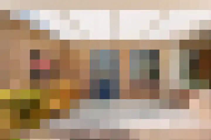Brethouwerstraat 23 Dalfsen thumbnail 38